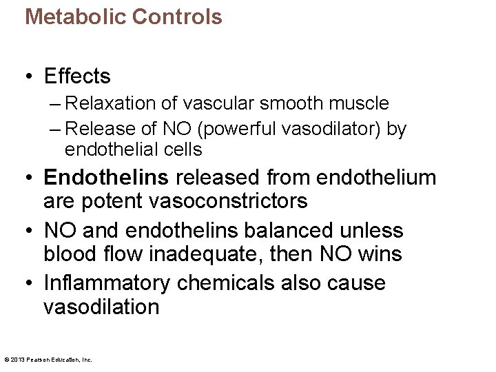 Metabolic Controls • Effects – Relaxation of vascular smooth muscle – Release of NO