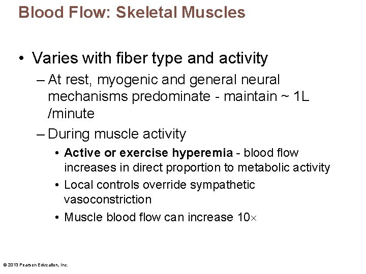 Blood Flow: Skeletal Muscles • Varies with fiber type and activity – At rest,