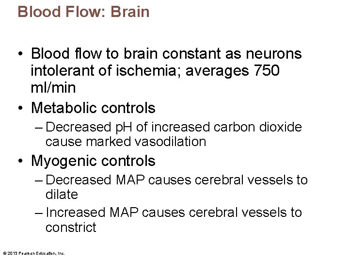 Blood Flow: Brain • Blood flow to brain constant as neurons intolerant of ischemia;
