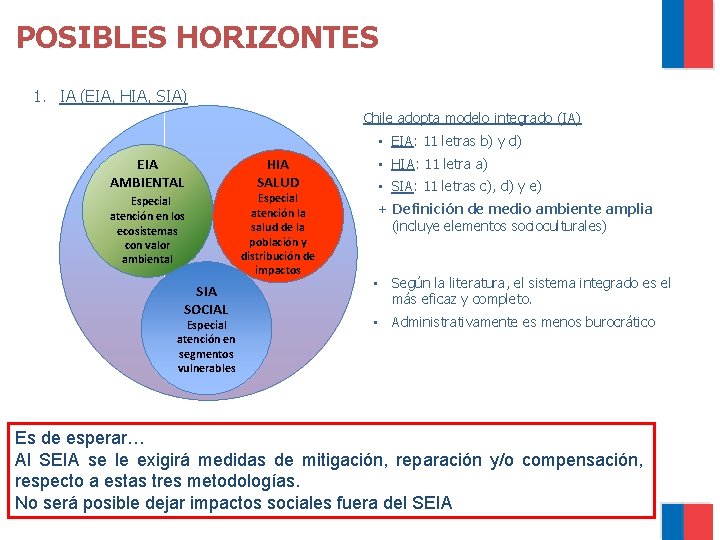 POSIBLES HORIZONTES 1. IA (EIA, HIA, SIA) Chile adopta modelo integrado (IA) • EIA: