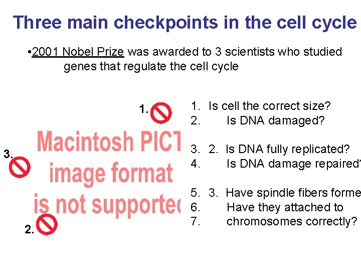 Three main checkpoints in the cell cycle • 2001 Nobel Prize was awarded to