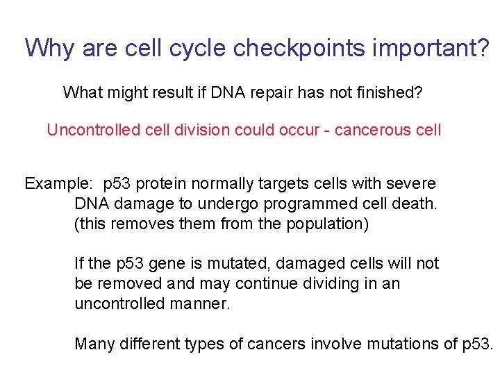 Why are cell cycle checkpoints important? What might result if DNA repair has not