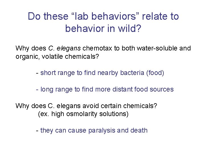 Do these “lab behaviors” relate to behavior in wild? Why does C. elegans chemotax