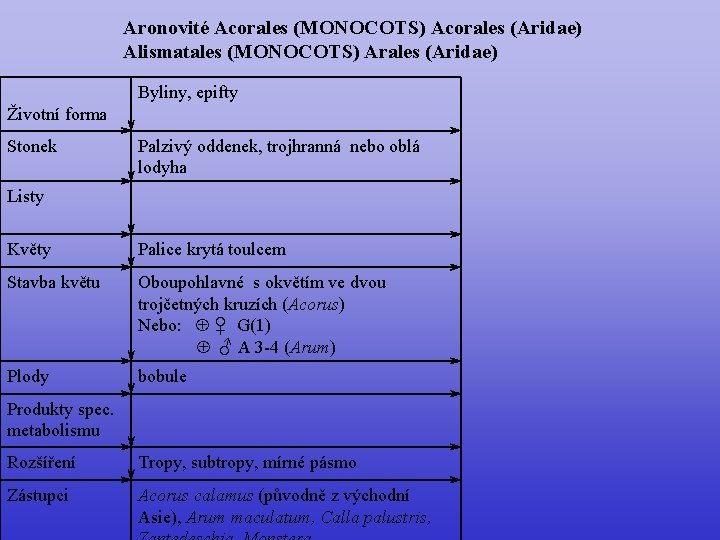 Aronovité Acorales (MONOCOTS) Acorales (Aridae) Alismatales (MONOCOTS) Arales (Aridae) Byliny, epifty Životní forma Stonek