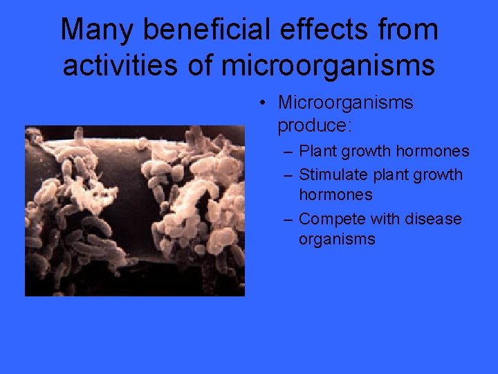 Many beneficial effects from activities of microorganisms • Microorganisms produce: – Plant growth hormones