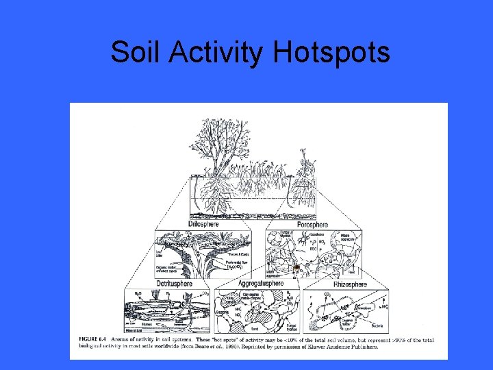 Soil Activity Hotspots 