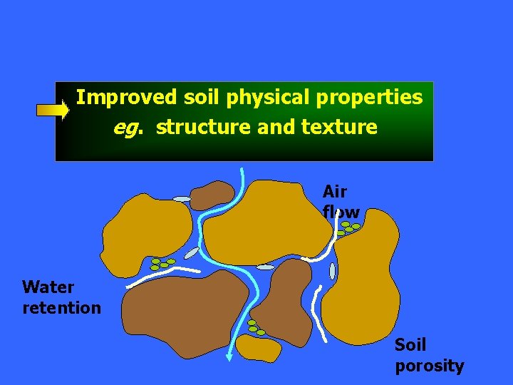 Improved soil physical properties eg. structure and texture Air flow Water retention Soil porosity