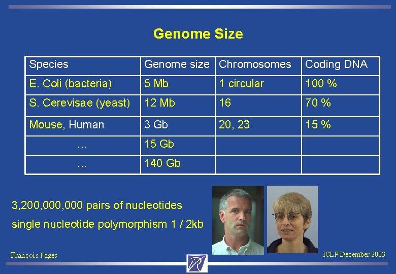 Genome Size Species Genome size Chromosomes Coding DNA E. Coli (bacteria) 5 Mb 1