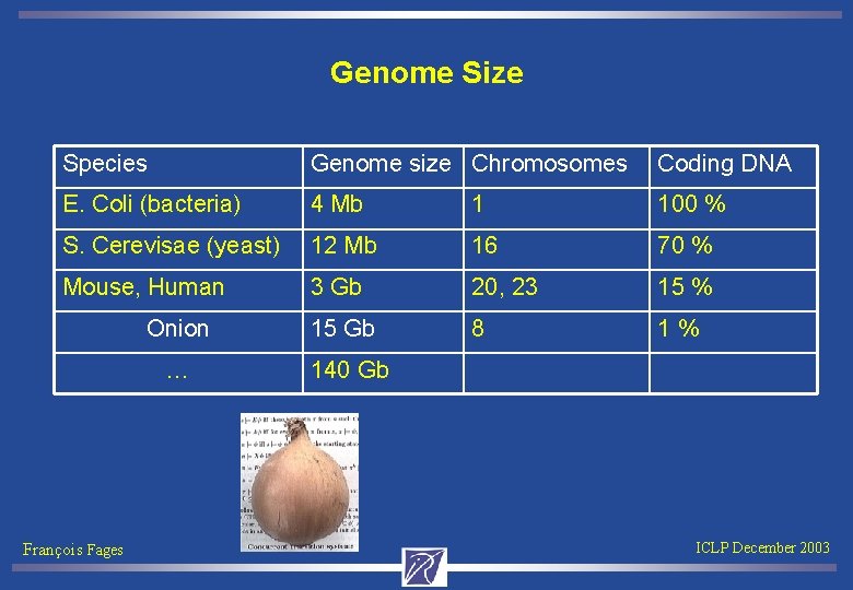Genome Size Species Genome size Chromosomes Coding DNA E. Coli (bacteria) 4 Mb 1