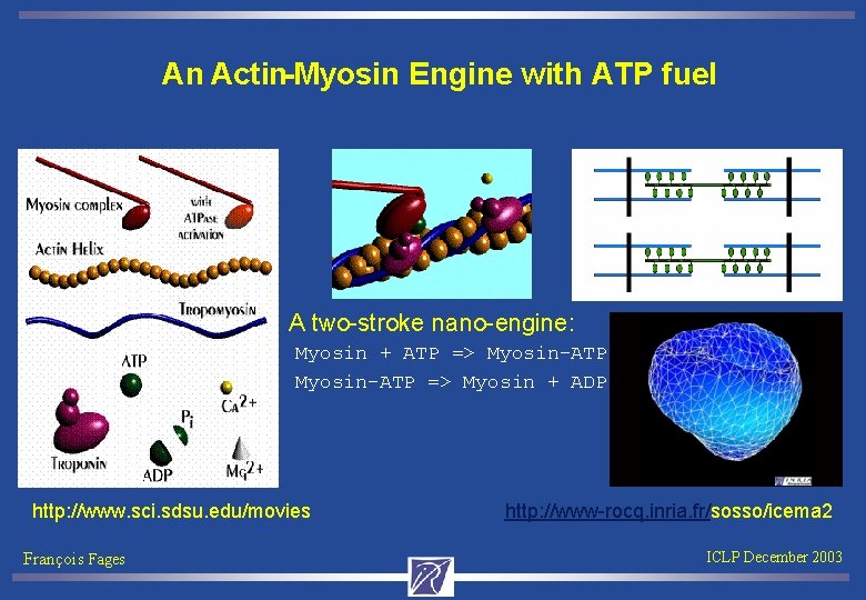 An Actin-Myosin Engine with ATP fuel A two-stroke nano-engine: Myosin + ATP => Myosin-ATP
