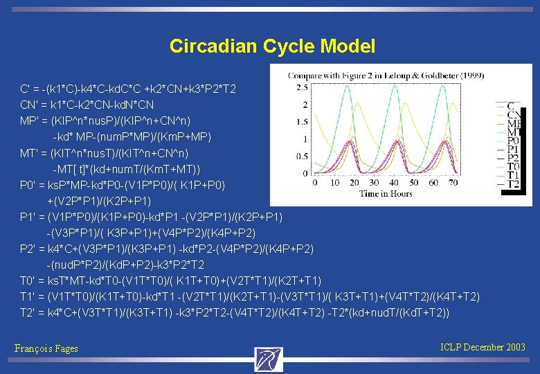 Circadian Cycle Model C' = -(k 1*C)-k 4*C-kd. C*C +k 2*CN+k 3*P 2*T 2