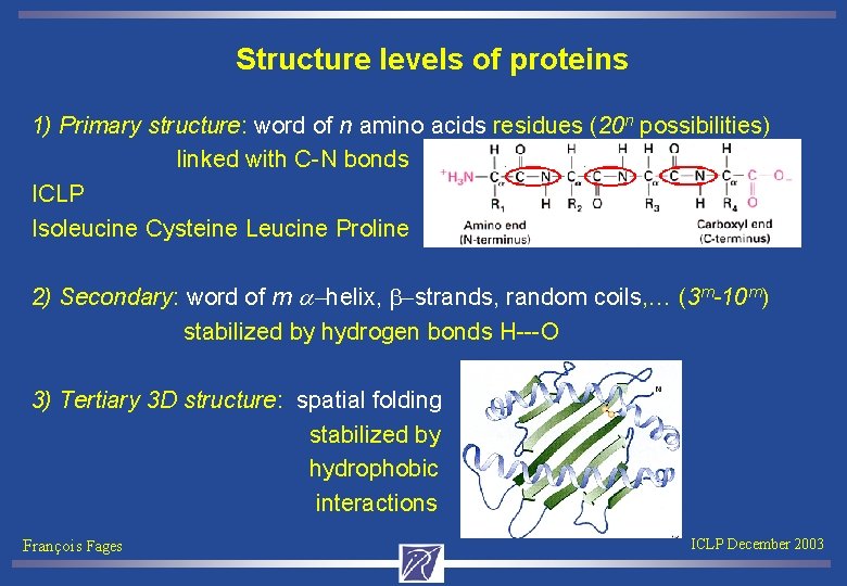 Structure levels of proteins 1) Primary structure: word of n amino acids residues (20