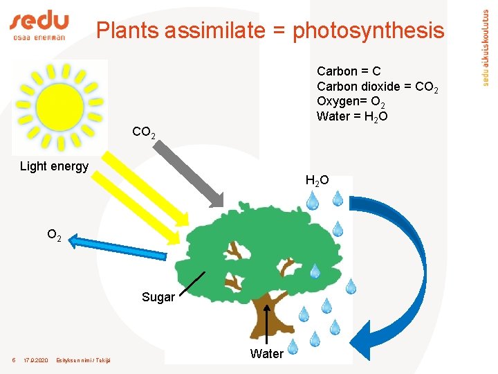Plants assimilate = photosynthesis Carbon = C Carbon dioxide = CO 2 Oxygen= O