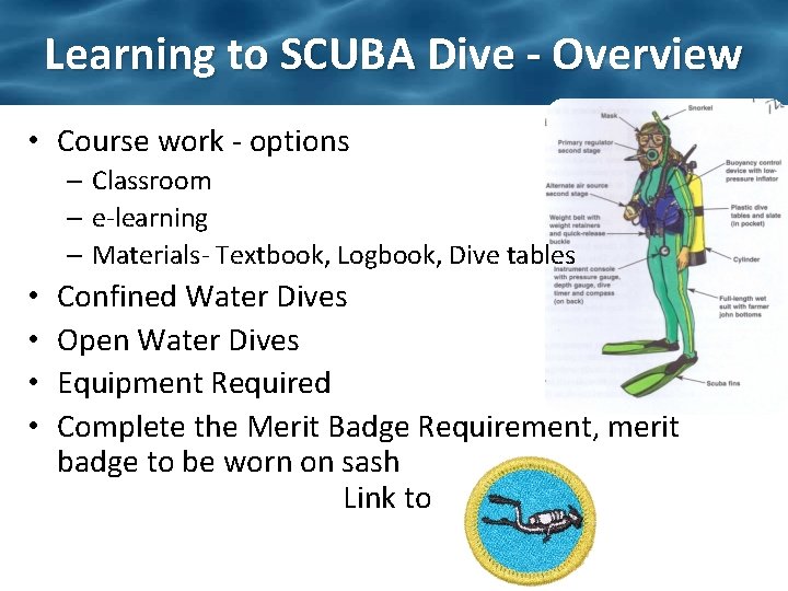 Learning to SCUBA Dive - Overview • Course work - options – Classroom –