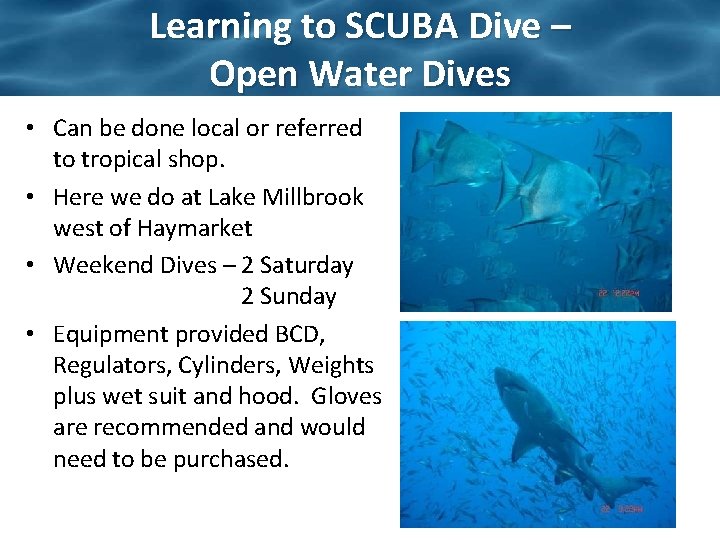 Learning to SCUBA Dive – Open Water Dives • Can be done local or