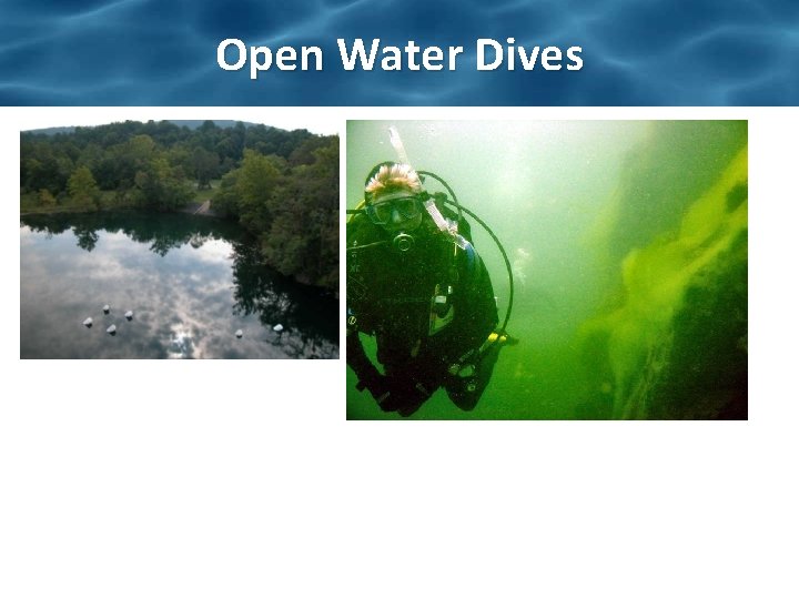 Open Water Dives 