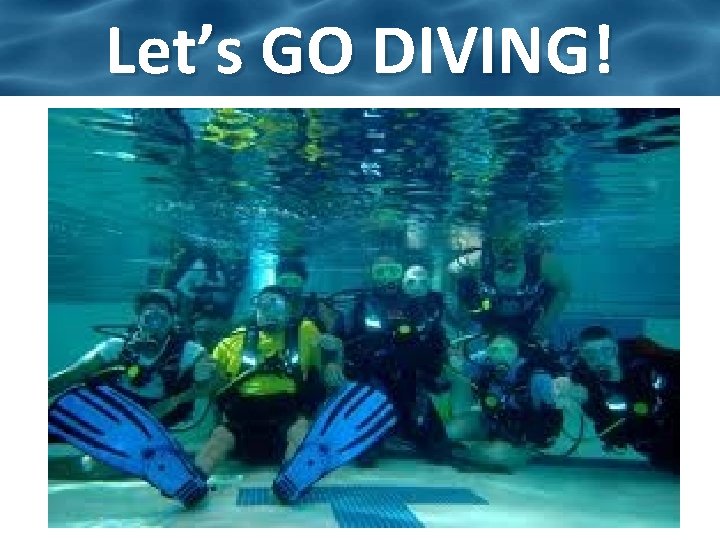 Let’s GO DIVING! 