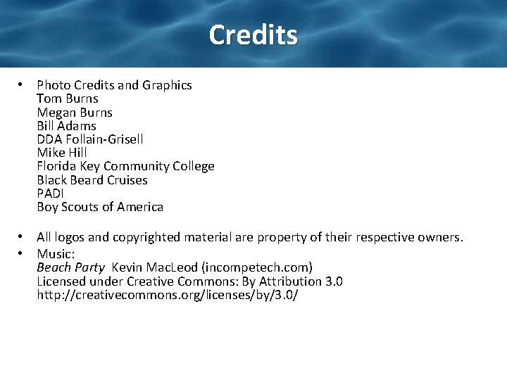Credits • Photo Credits and Graphics Tom Burns Megan Burns Bill Adams DDA Follain-Grisell