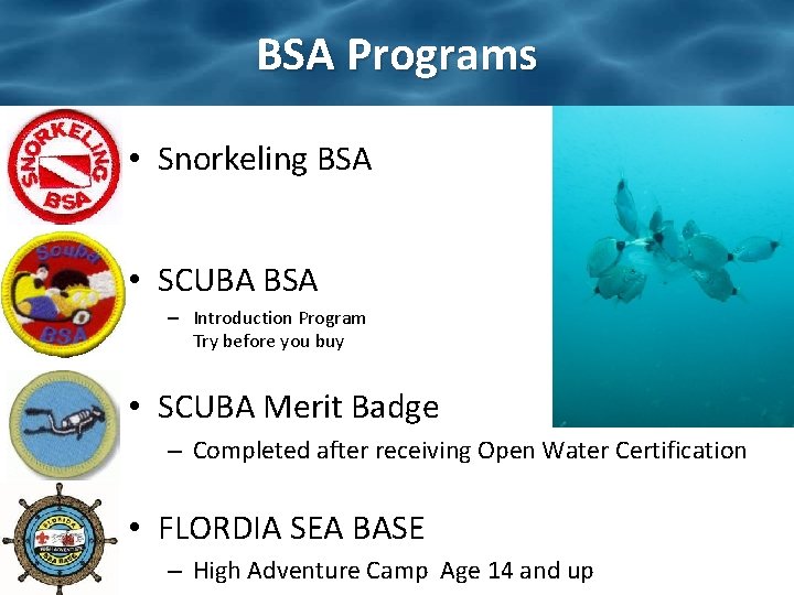 BSA Programs • Snorkeling BSA • SCUBA BSA – Introduction Program Try before you
