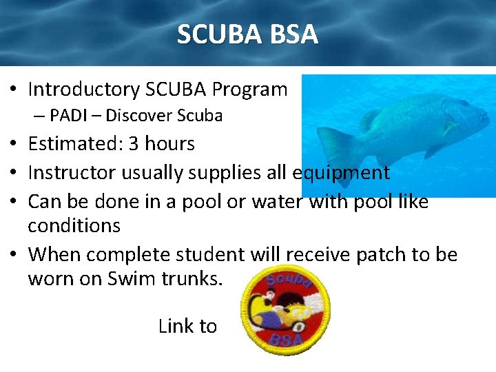 SCUBA BSA • Introductory SCUBA Program – PADI – Discover Scuba • Estimated: 3