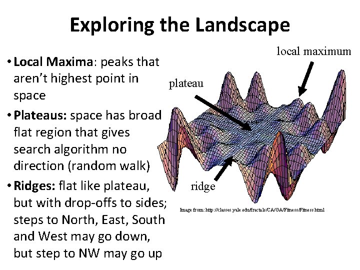 Exploring the Landscape • Local Maxima: peaks that aren’t highest point in plateau space