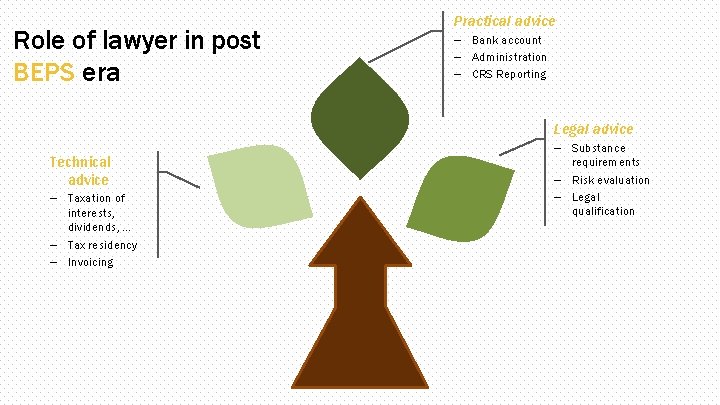 Role of lawyer in post BEPS era Practical advice – Bank account – Administration