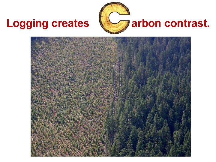 Logging creates arbon contrast. 