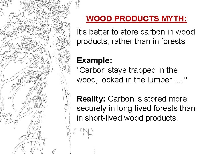 WOOD PRODUCTS MYTH: It’s better to store carbon in wood products, rather than in