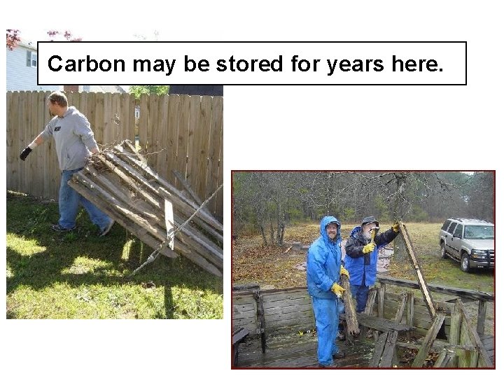 Carbon may be stored for years here. 