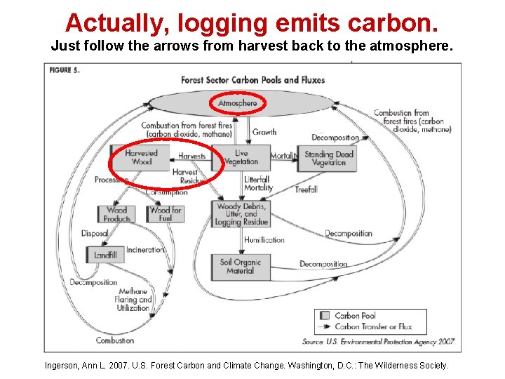 Actually, logging emits carbon. Just follow the arrows from harvest back to the atmosphere.
