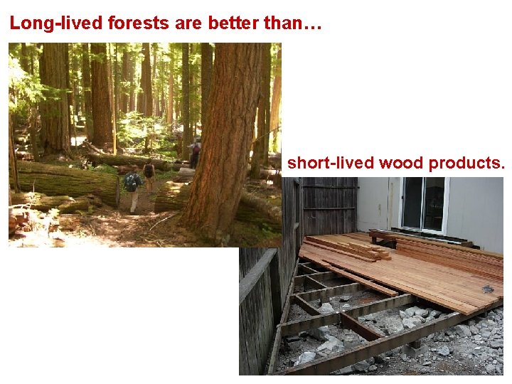 Long-lived forests are better than… short-lived wood products. 