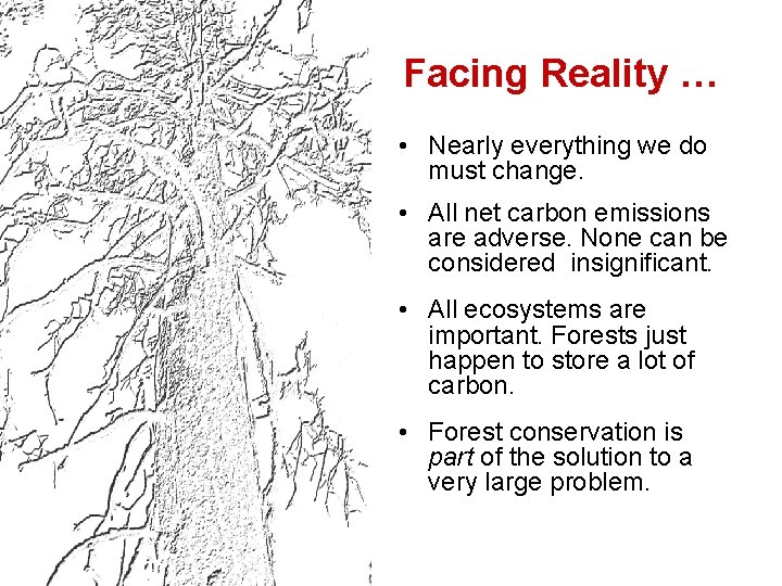 Facing Reality … • Nearly everything we do must change. • All net carbon