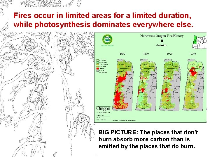 Fires occur in limited areas for a limited duration, while photosynthesis dominates everywhere else.