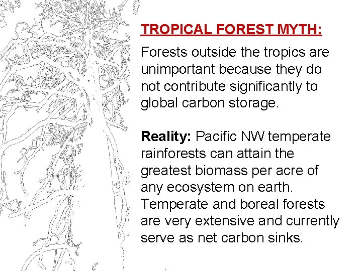 TROPICAL FOREST MYTH: Forests outside the tropics are unimportant because they do not contribute