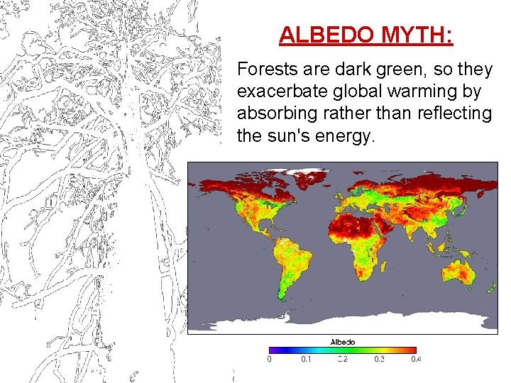 ALBEDO MYTH: Forests are dark green, so they exacerbate global warming by absorbing rather