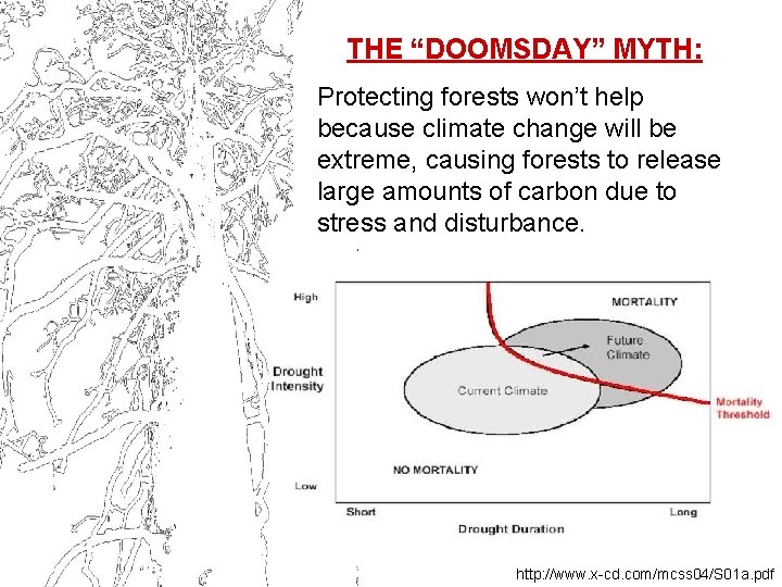 THE “DOOMSDAY” MYTH: Protecting forests won’t help because climate change will be extreme, causing