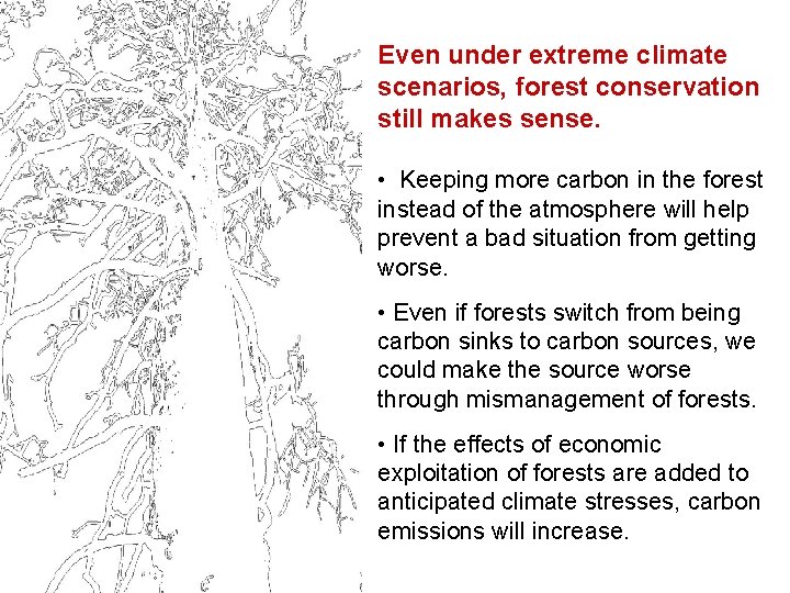 Even under extreme climate scenarios, forest conservation still makes sense. • Keeping more carbon