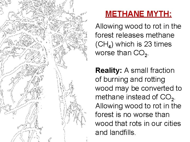 METHANE MYTH: Allowing wood to rot in the forest releases methane (CH 4) which