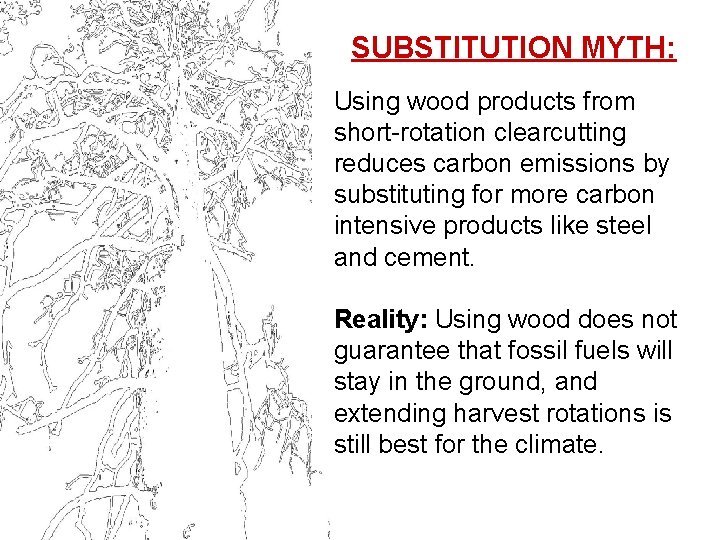 SUBSTITUTION MYTH: Using wood products from short-rotation clearcutting reduces carbon emissions by substituting for