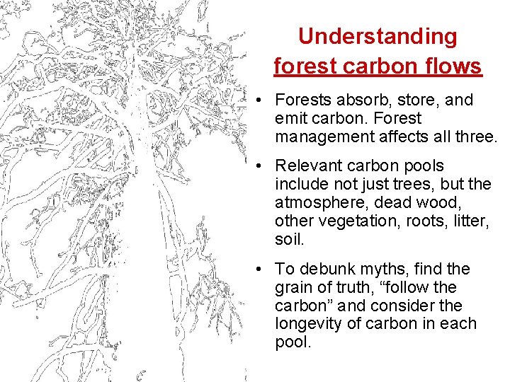 Understanding forest carbon flows • Forests absorb, store, and emit carbon. Forest management affects