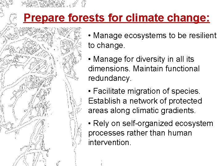 Prepare forests for climate change: • Manage ecosystems to be resilient to change. •