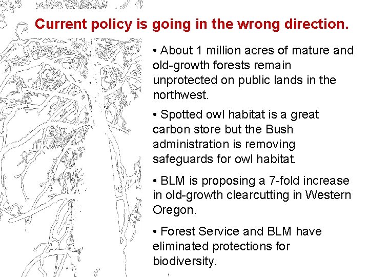 Current policy is going in the wrong direction. • About 1 million acres of