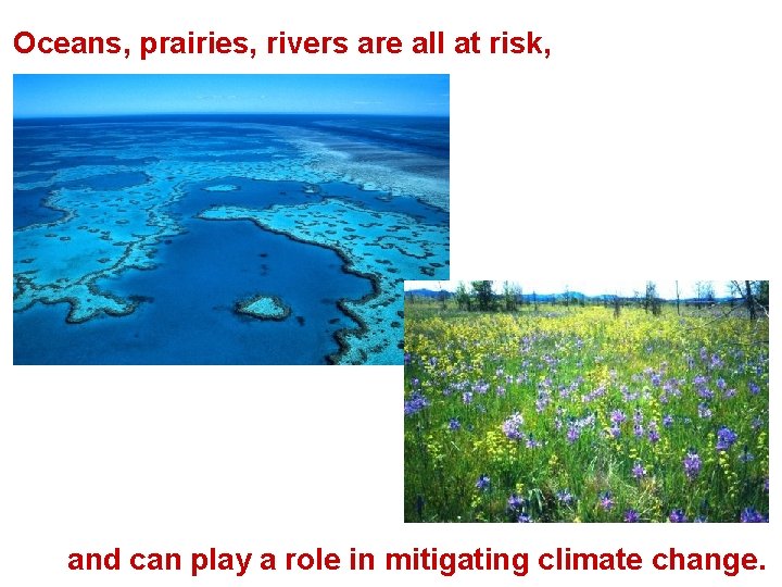 Oceans, prairies, rivers are all at risk, and can play a role in mitigating