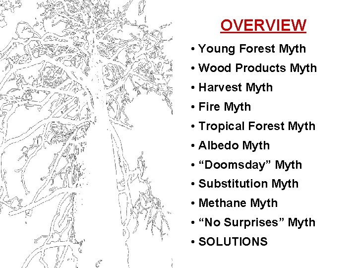 OVERVIEW • Young Forest Myth • Wood Products Myth • Harvest Myth • Fire