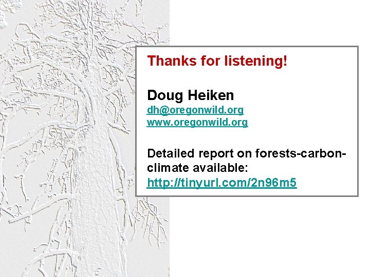 Thanks for listening! Doug Heiken dh@oregonwild. org www. oregonwild. org Detailed report on forests-carbonclimate