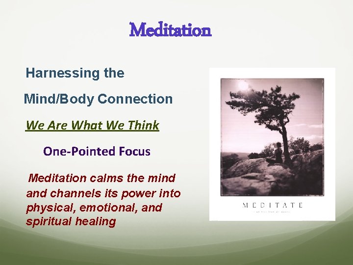 Meditation Harnessing the Mind/Body Connection We Are What We Think One-Pointed Focus Meditation calms
