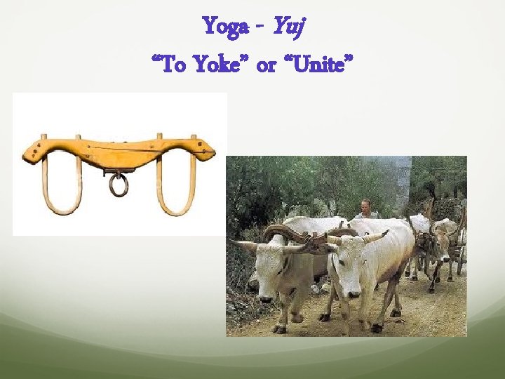  a Yoga - Yuj “To Yoke” or “Unite” 