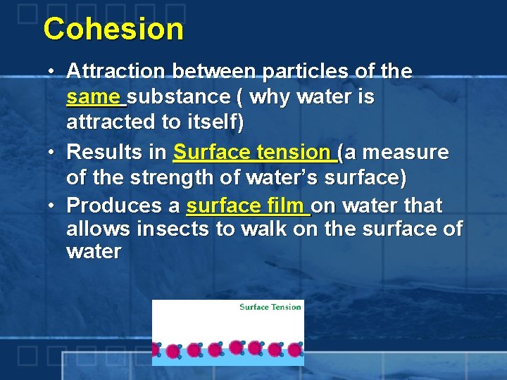 Cohesion • Attraction between particles of the same substance ( why water is attracted