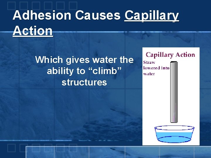 Adhesion Causes Capillary Action Which gives water the ability to “climb” structures 