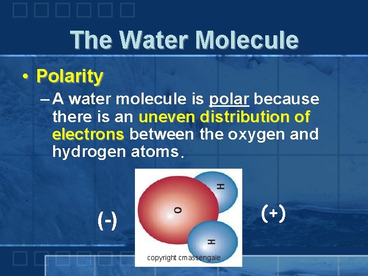 The Water Molecule • Polarity – A water molecule is polar because there is